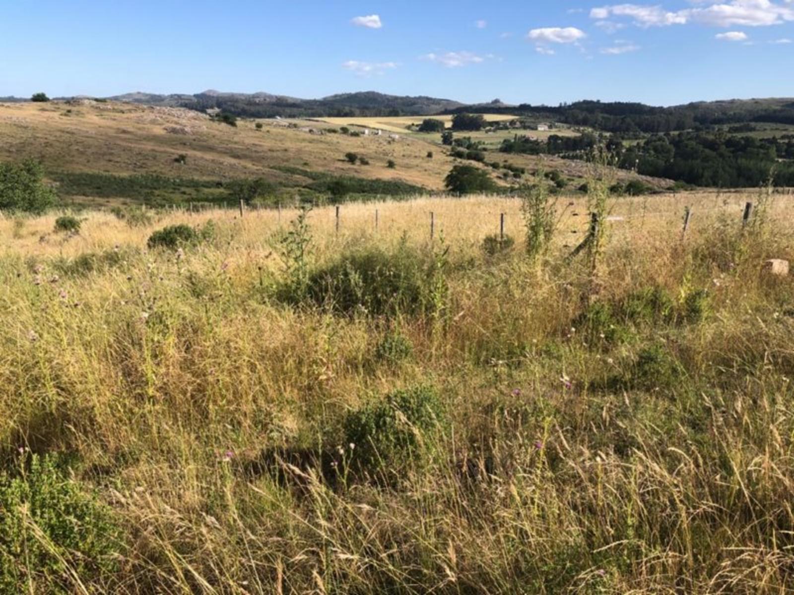 TANDIL · Tandil — foto 12