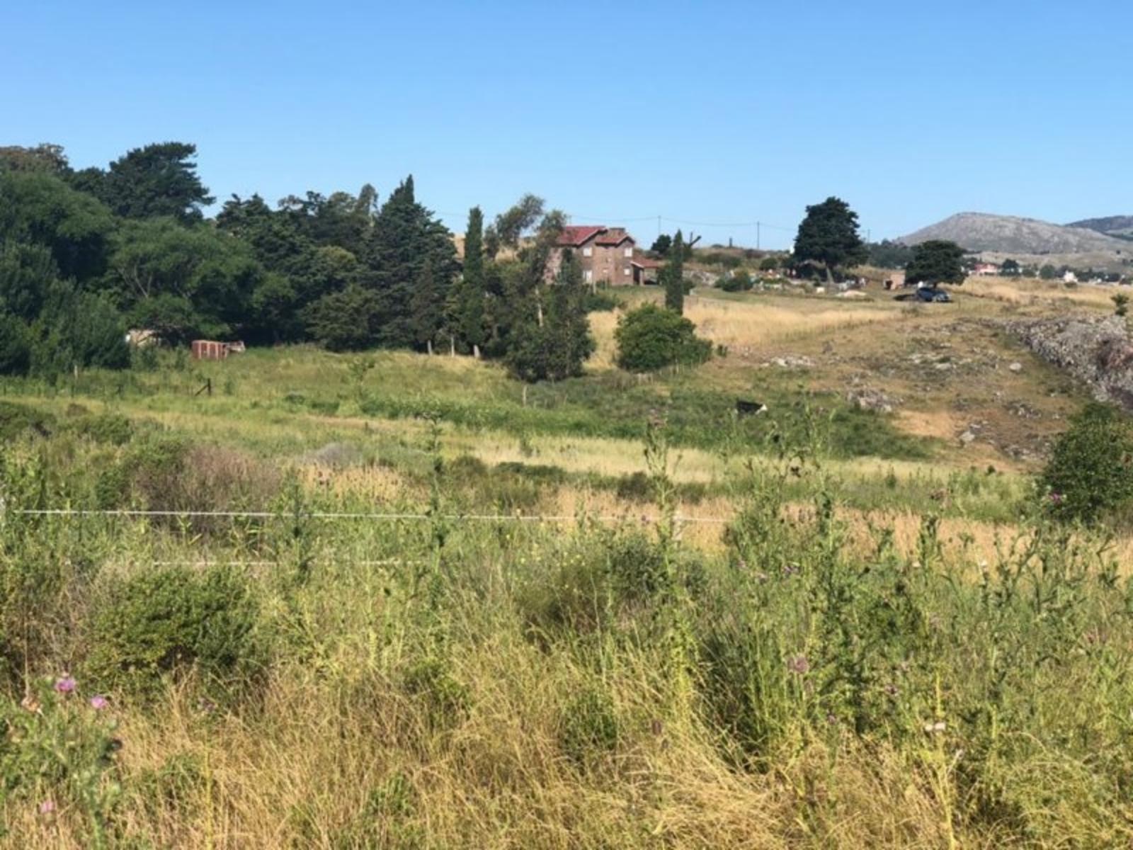 TANDIL · Tandil — foto 3