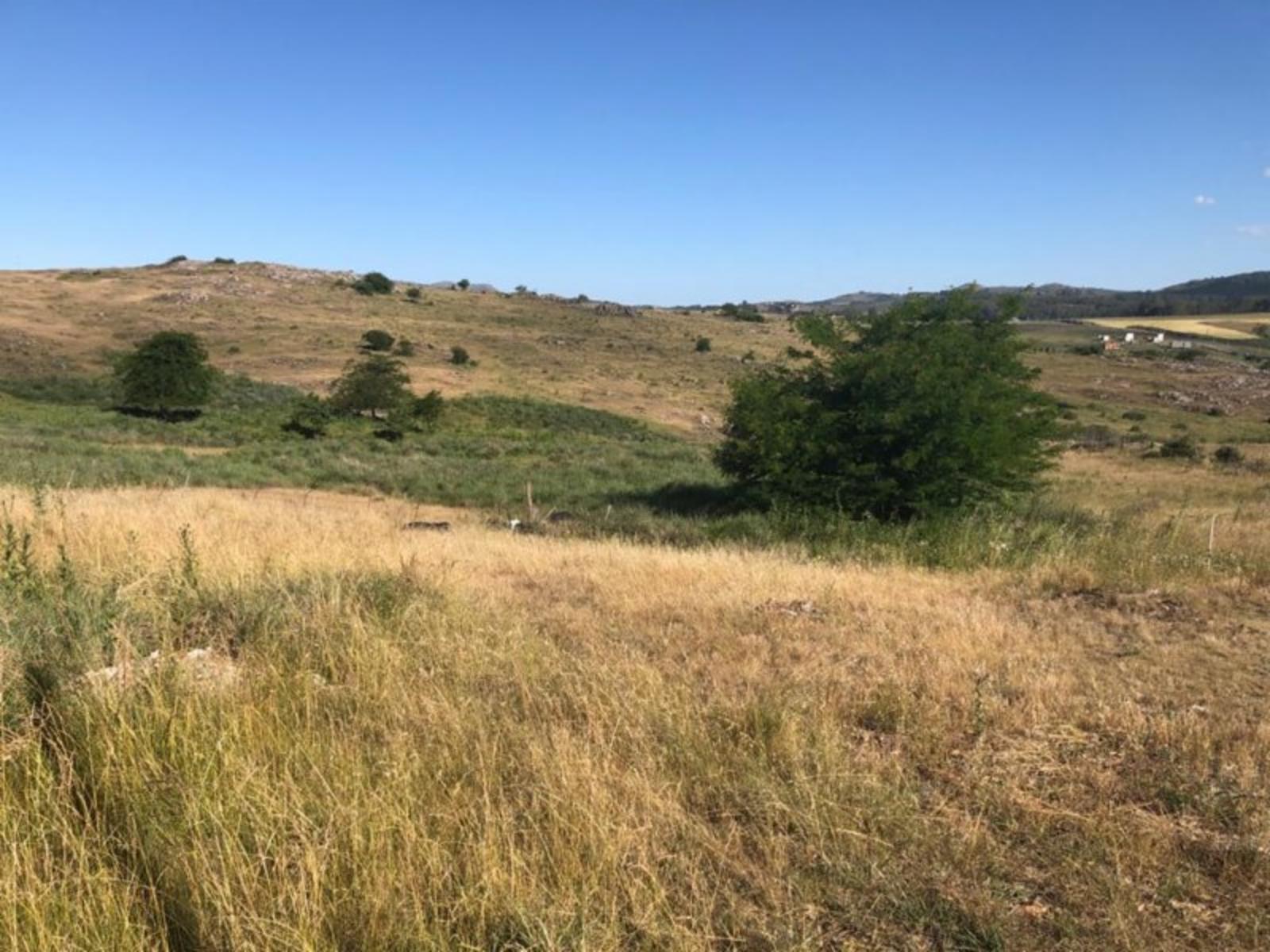 TANDIL · Tandil — foto 6