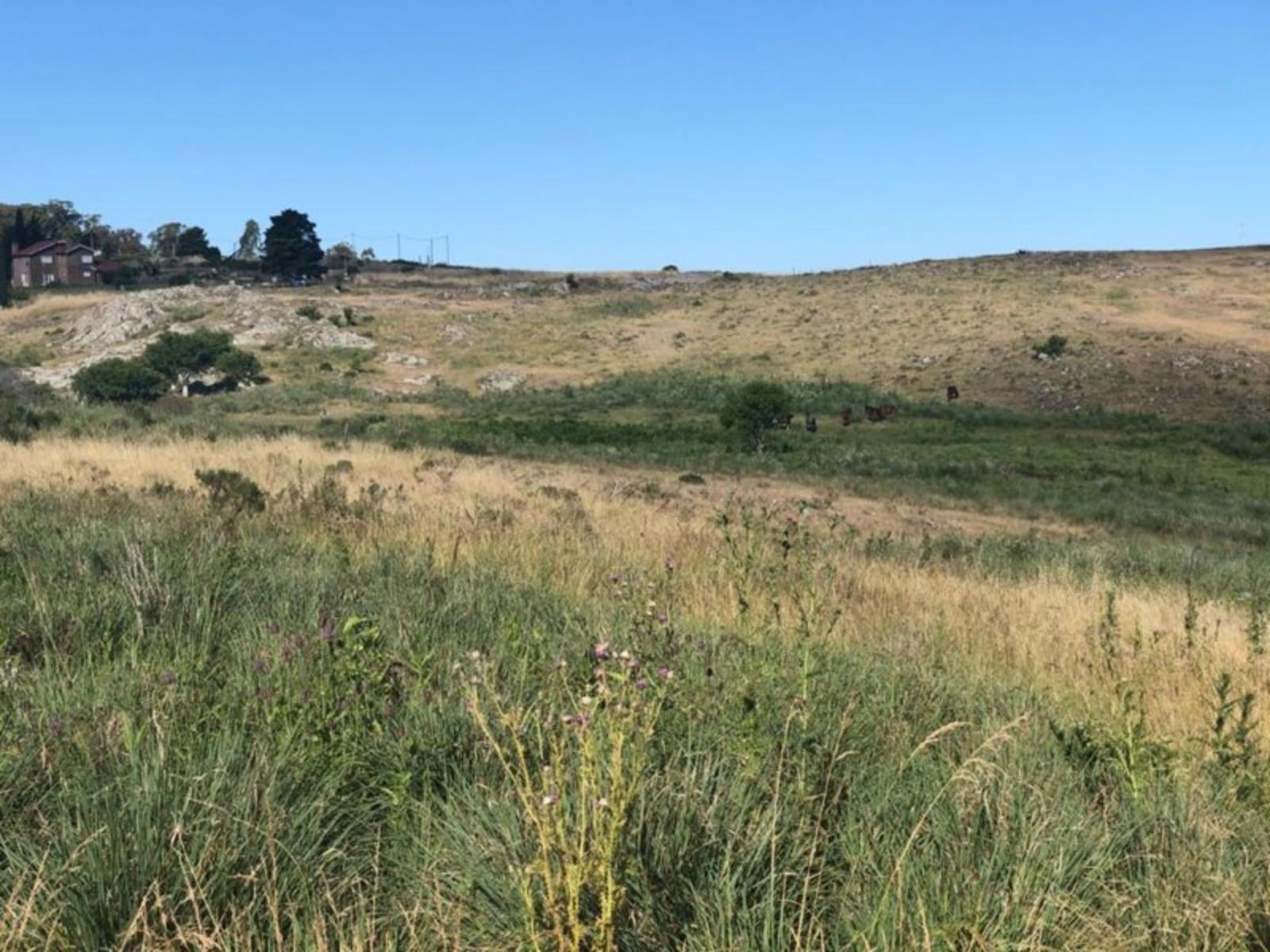 TANDIL · Tandil — foto 9
