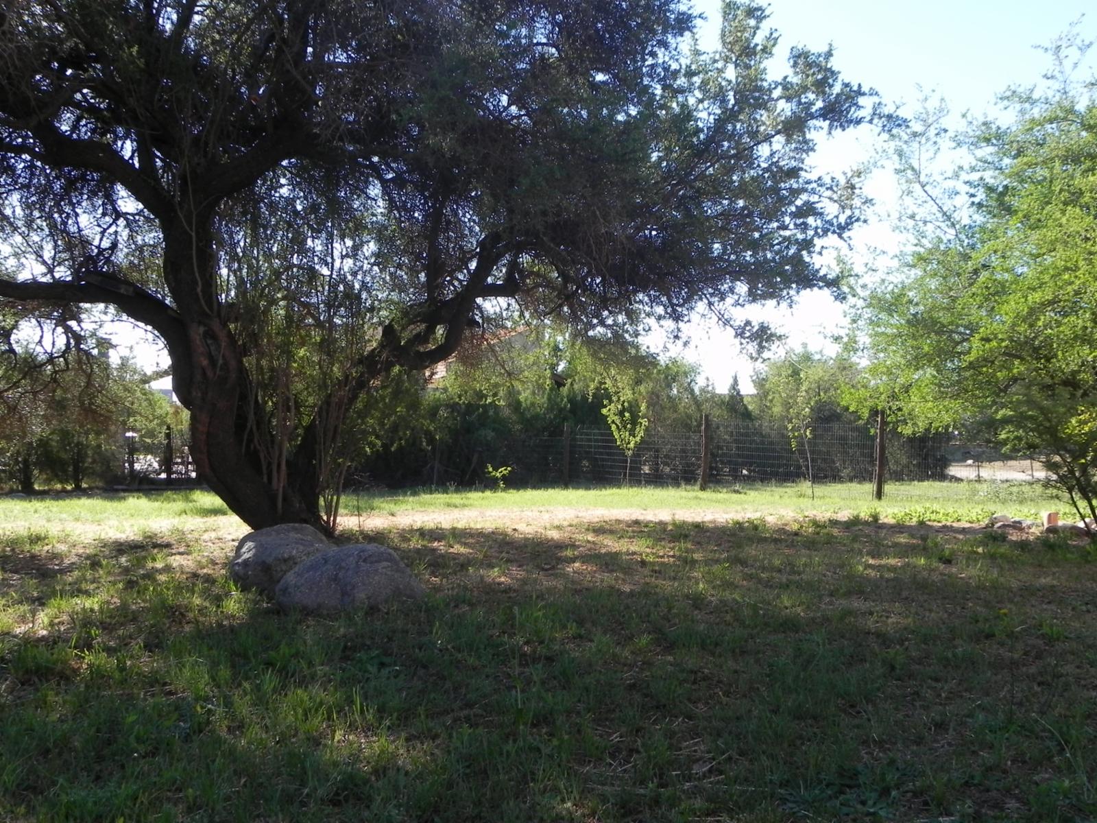 LAS MORERAS I · Junín — foto 14
