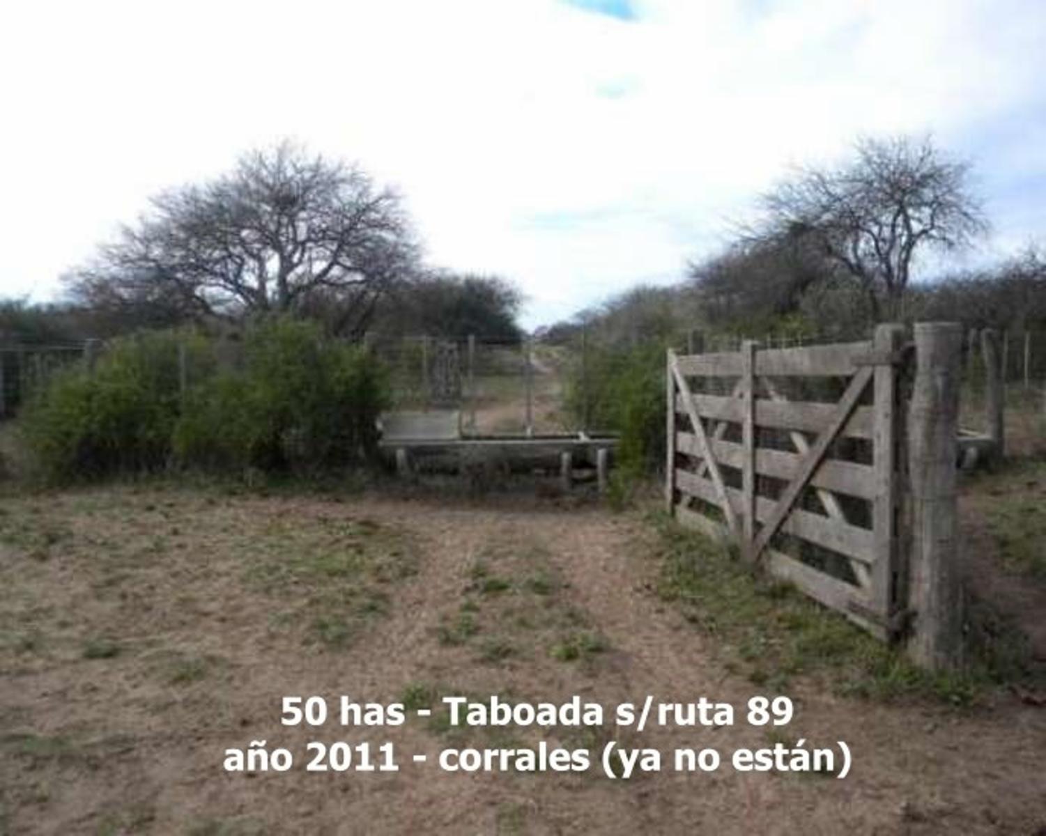 sobre Ruta 89 (Taboada-Suncho Corral) · San Martín — foto 11