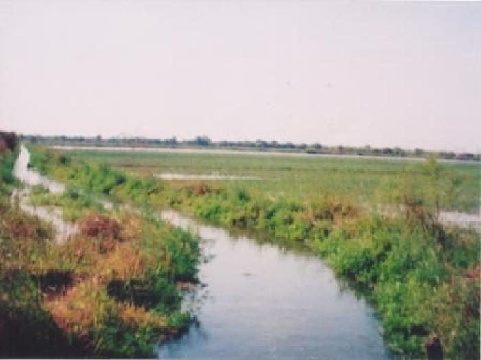 sobre Ruta 89 (Taboada-Suncho Corral) · San Martín — foto 4