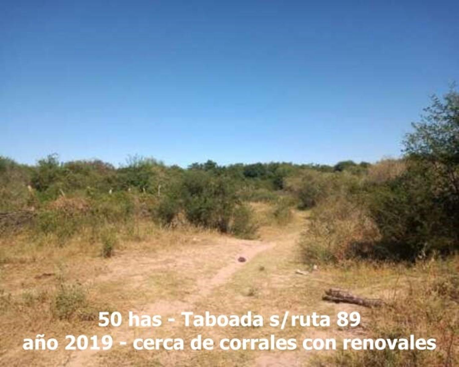 sobre Ruta 89 (Taboada-Suncho Corral) · San Martín — foto 7