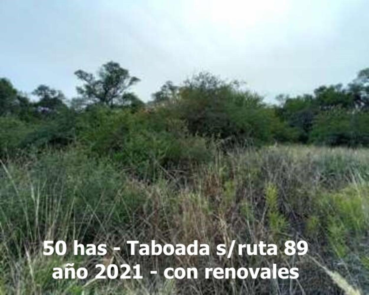 sobre Ruta 89 (Taboada-Suncho Corral) · San Martín — foto 8