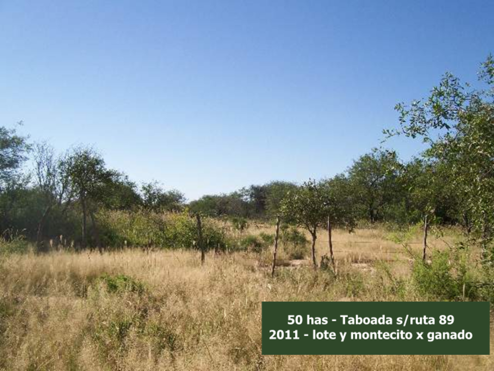sobre Ruta 89 (Taboada-Suncho Corral) · San Martín — foto 9