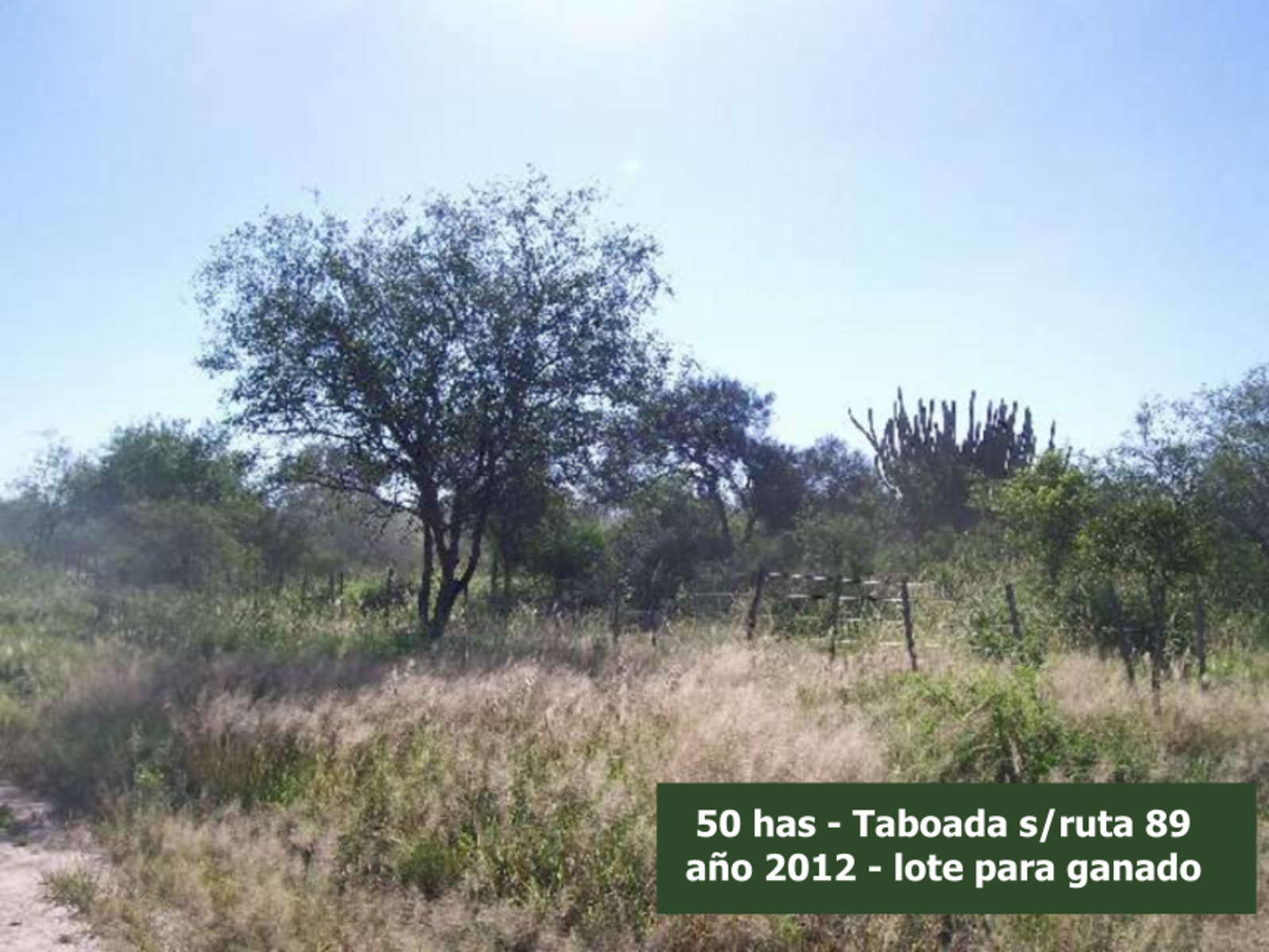 sobre Ruta 89 (Taboada-Suncho Corral) · San Martín — foto 10
