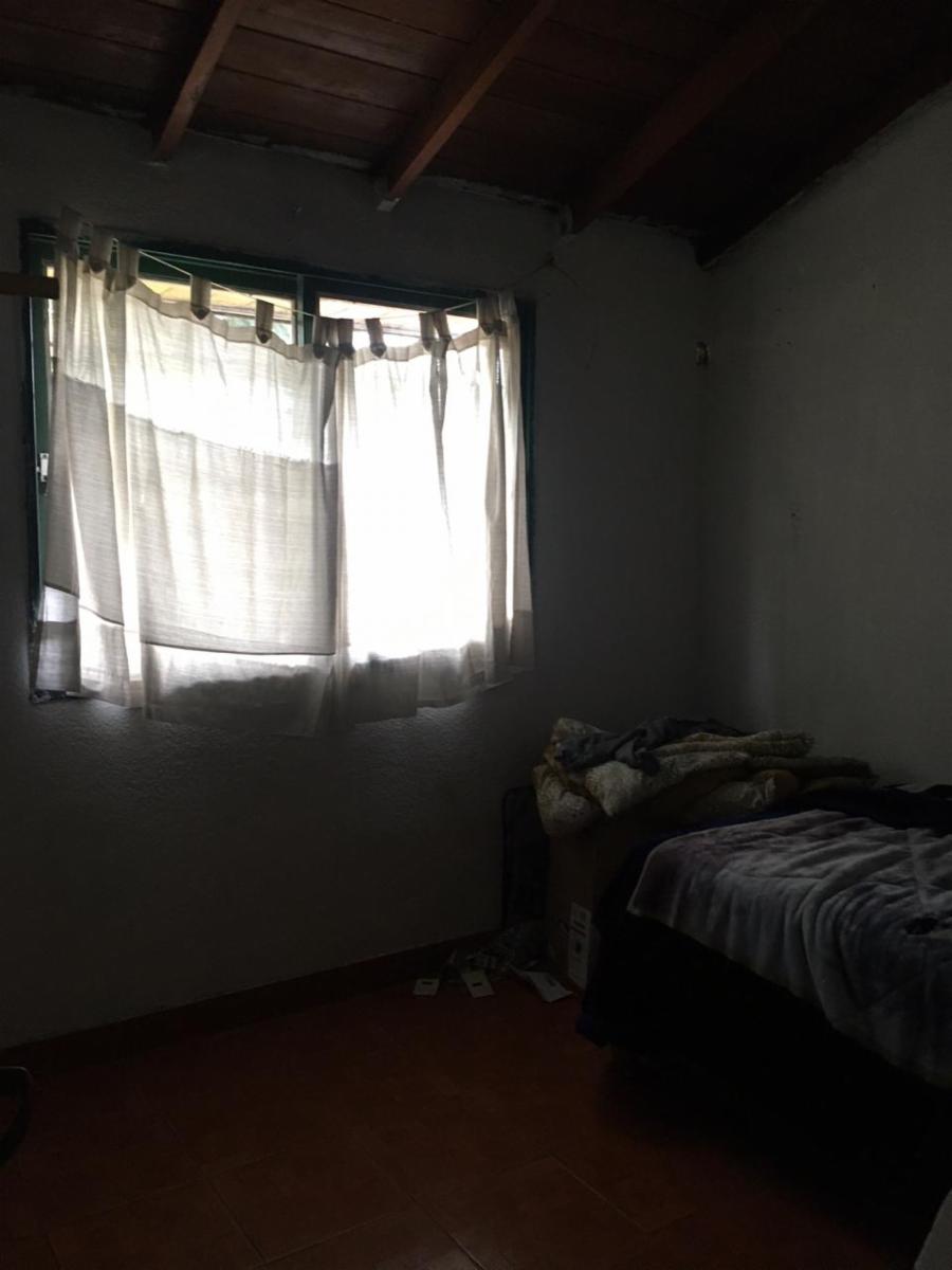 Melendez Y Pelayo 2023 · Tigre — foto 6