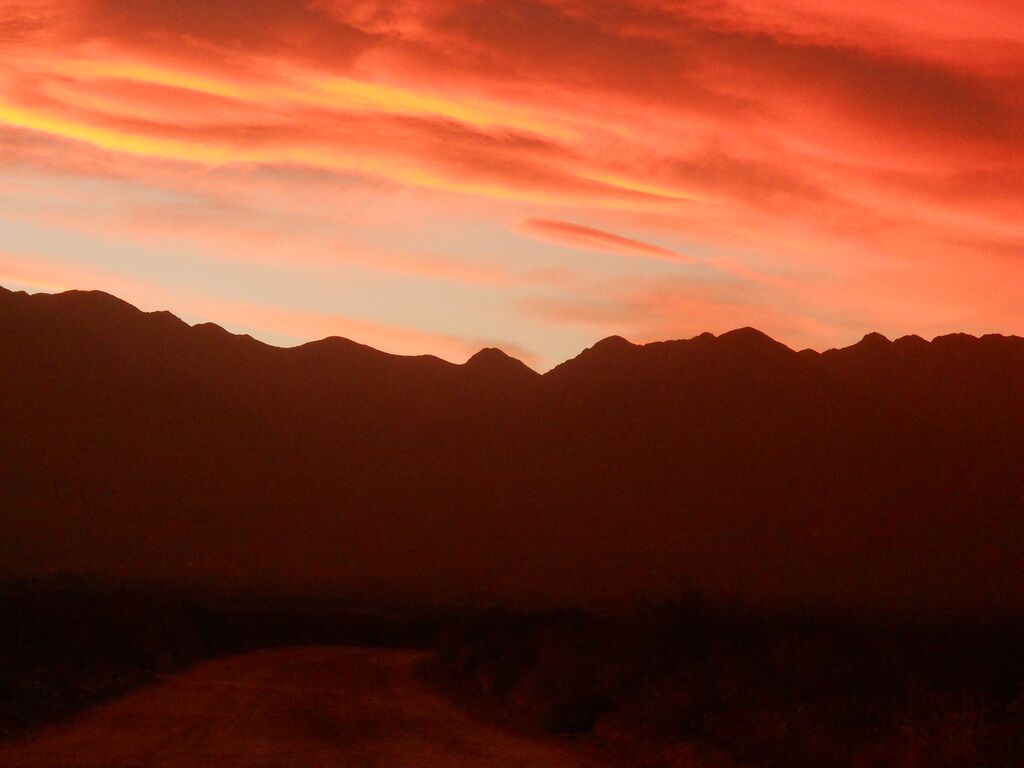La Crucecita, Mendoza · Luján de Cuyo — foto 18