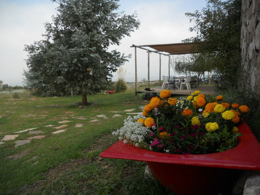 La Crucecita, Mendoza · Luján de Cuyo — foto 25