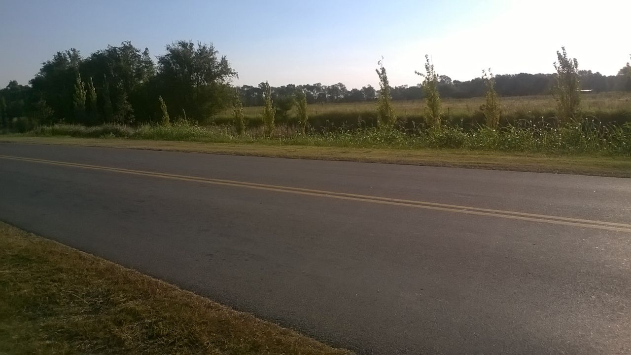 Km 226 · Juárez Celman — foto 3