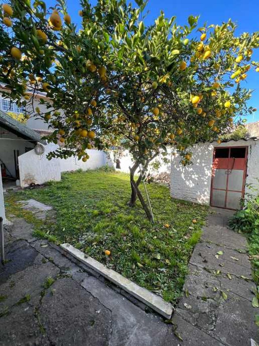 MAESTRA LANZANI 3320 · Morón — foto 5
