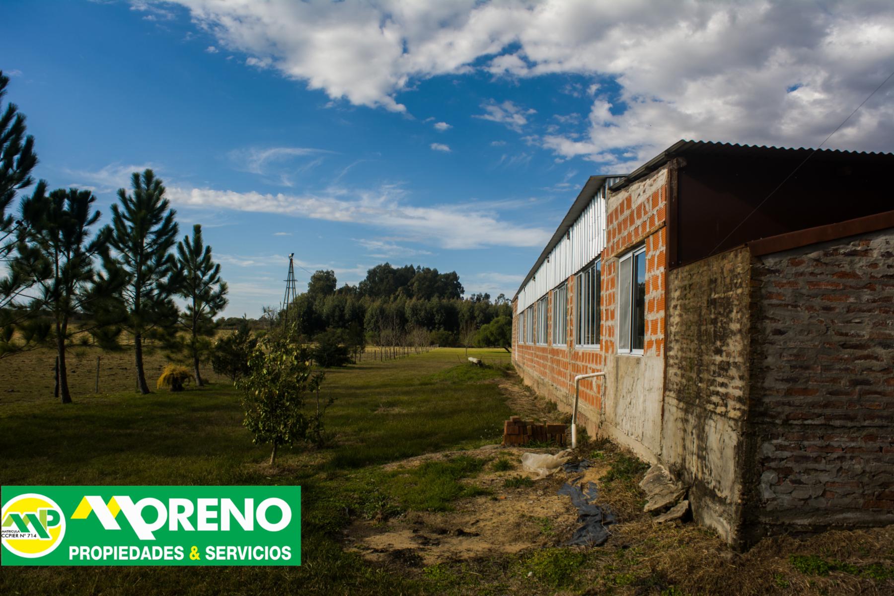 Calle Pública · Colón — foto 14