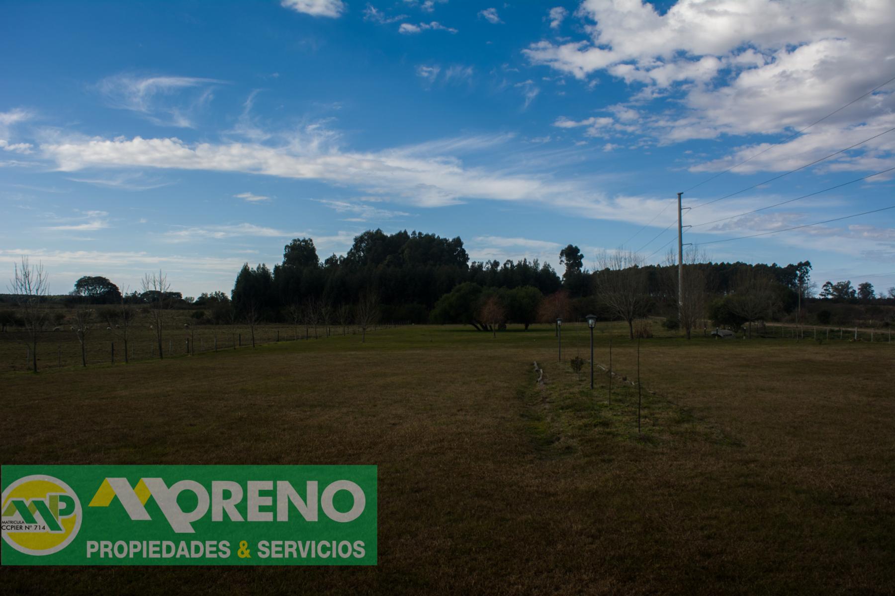 Calle Pública · Colón — foto 10