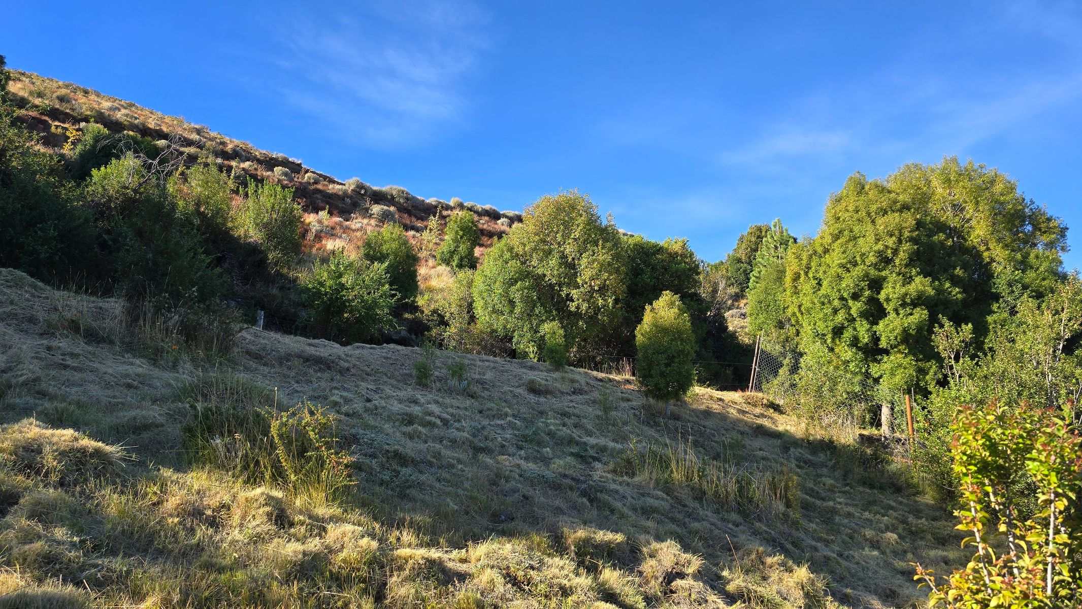 El Maitenal S/Nº · Futaleufú — foto 3