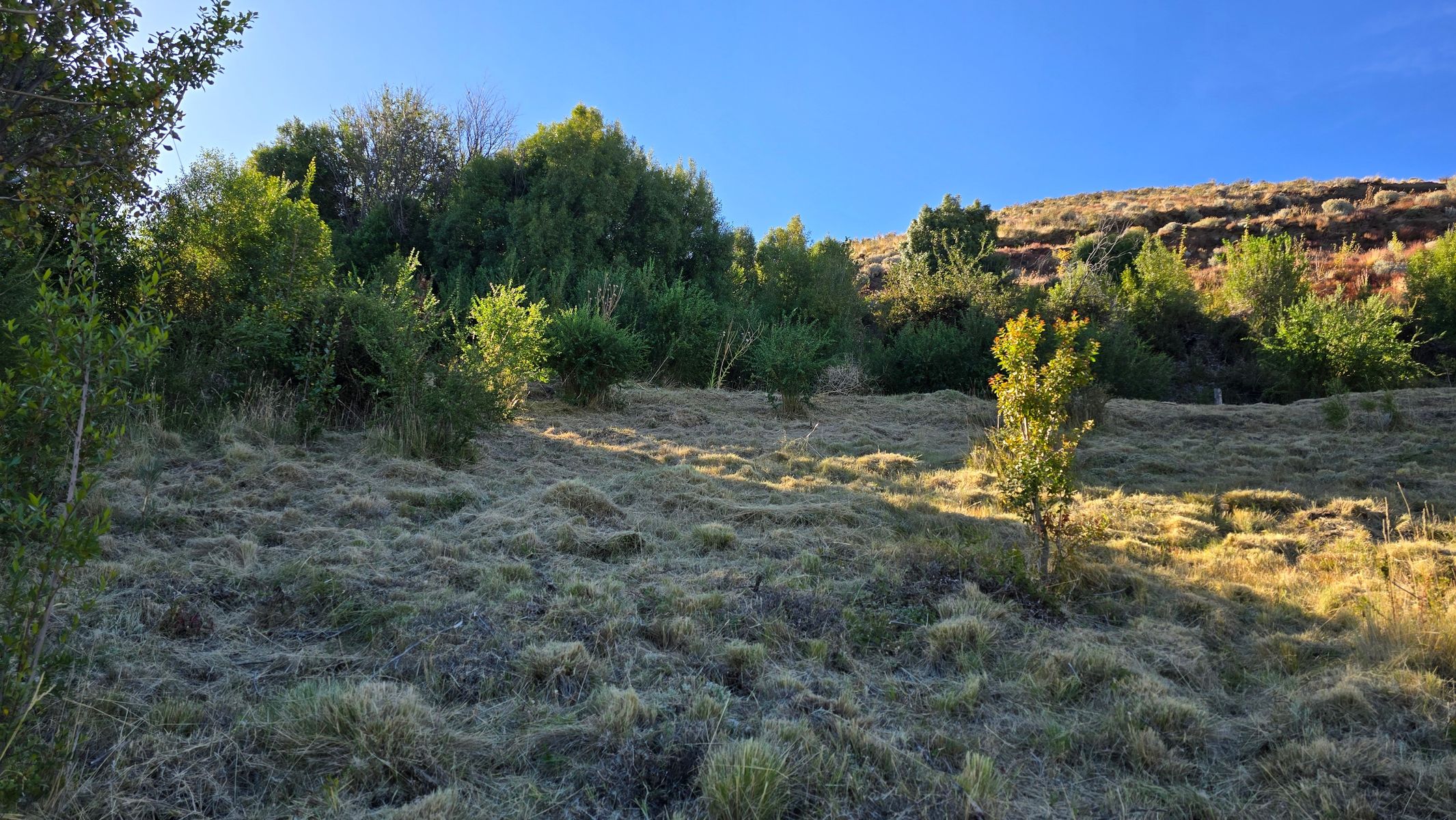 El Maitenal S/Nº · Futaleufú — foto 4