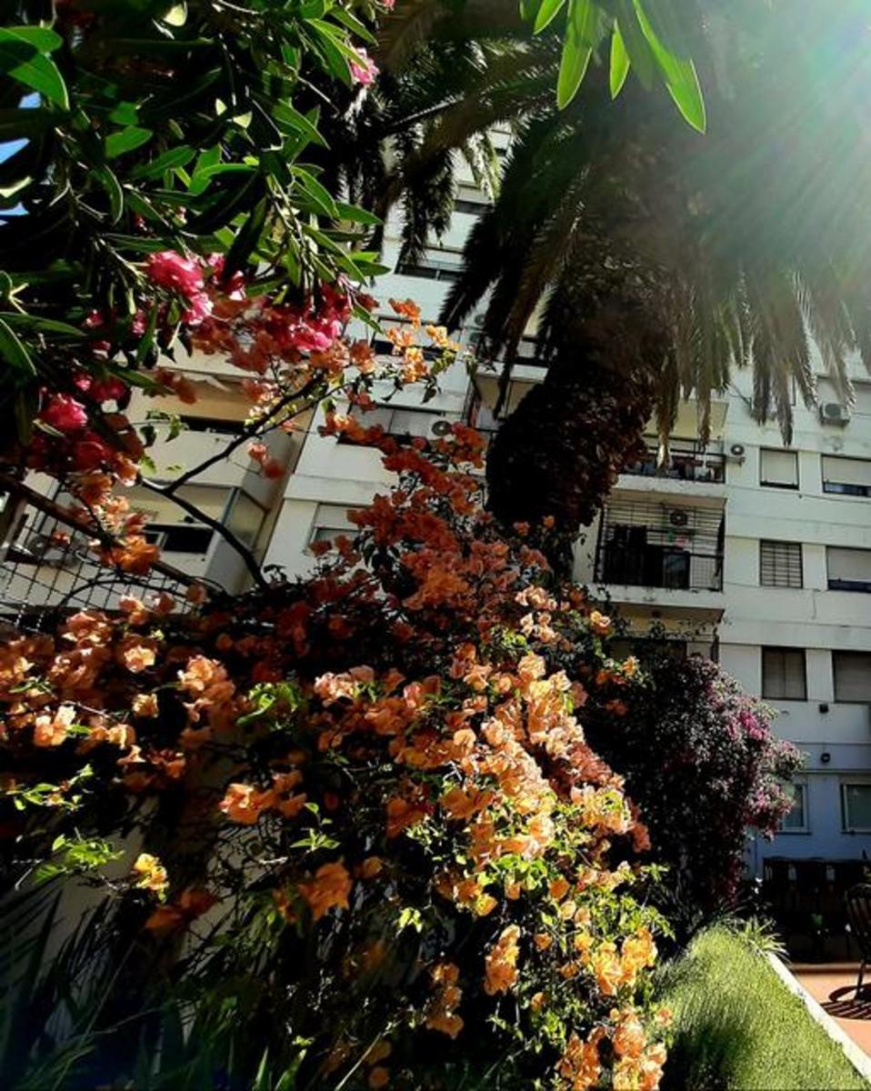 Corrientes 5645 · Villa Crespo — foto 14