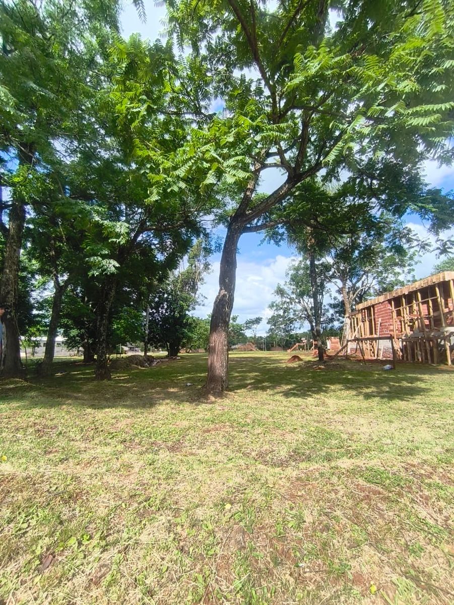Avenida San Luis 818 · Oberá — foto 3