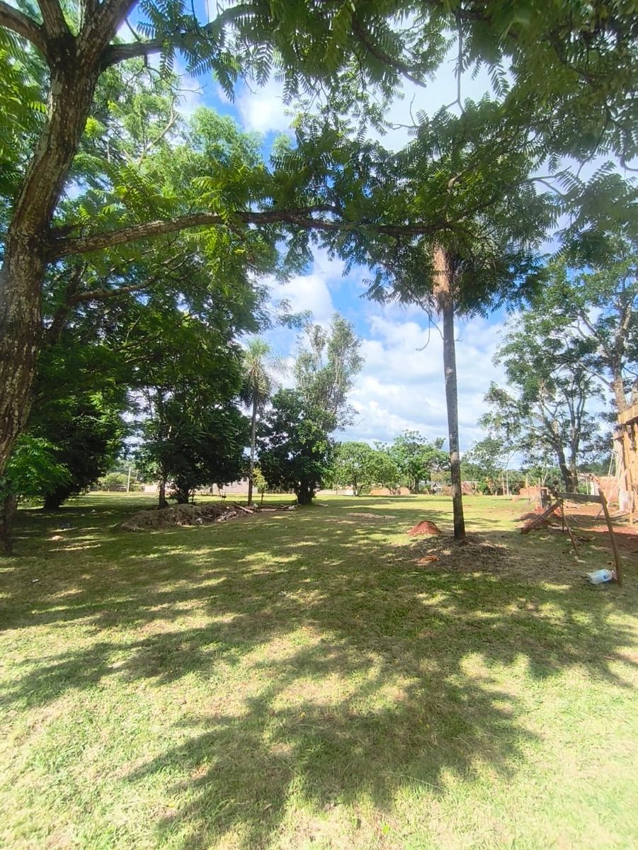 Avenida San Luis 818 · Oberá — foto 4