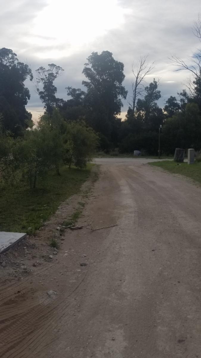 Salvia casi Jazmin · Monte Hermoso — foto 22