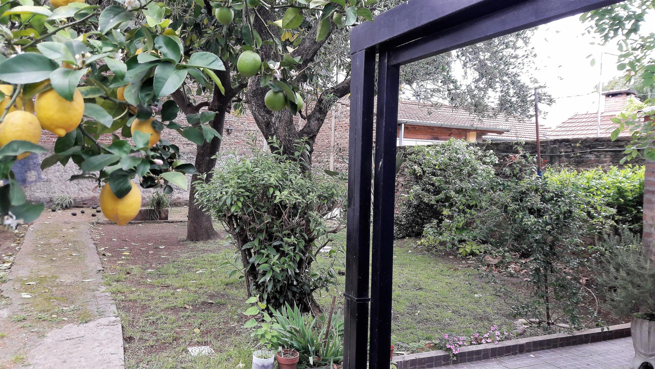 CASA 3 AMBIENTES - APTO CRÉDITO - MUY BUENO SOBRE LOTE 10m X 35m EN HAEDO NORTE - EL PALOMAR