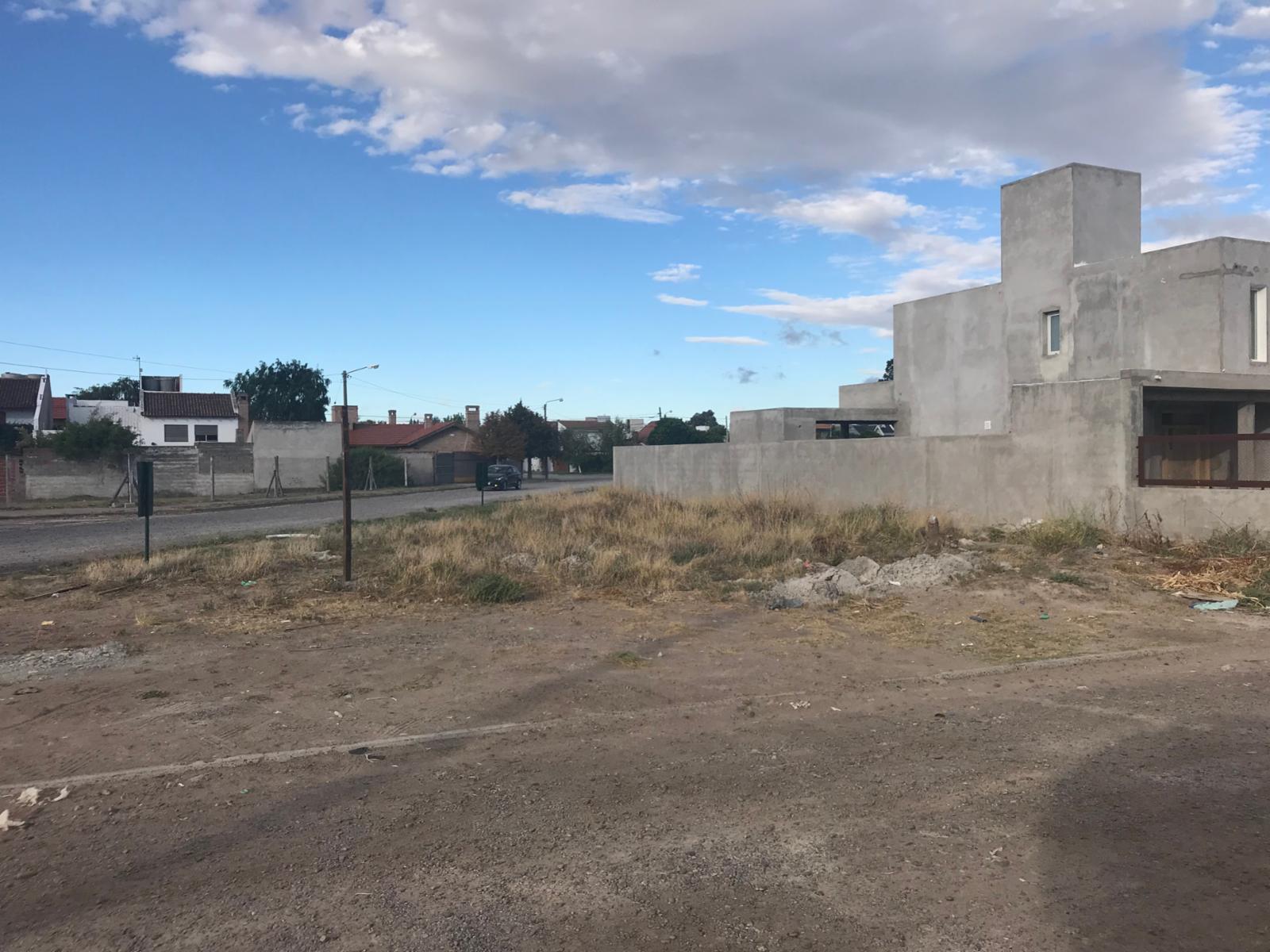 DOMINGO SAVIO · Adolfo Alsina — foto 10