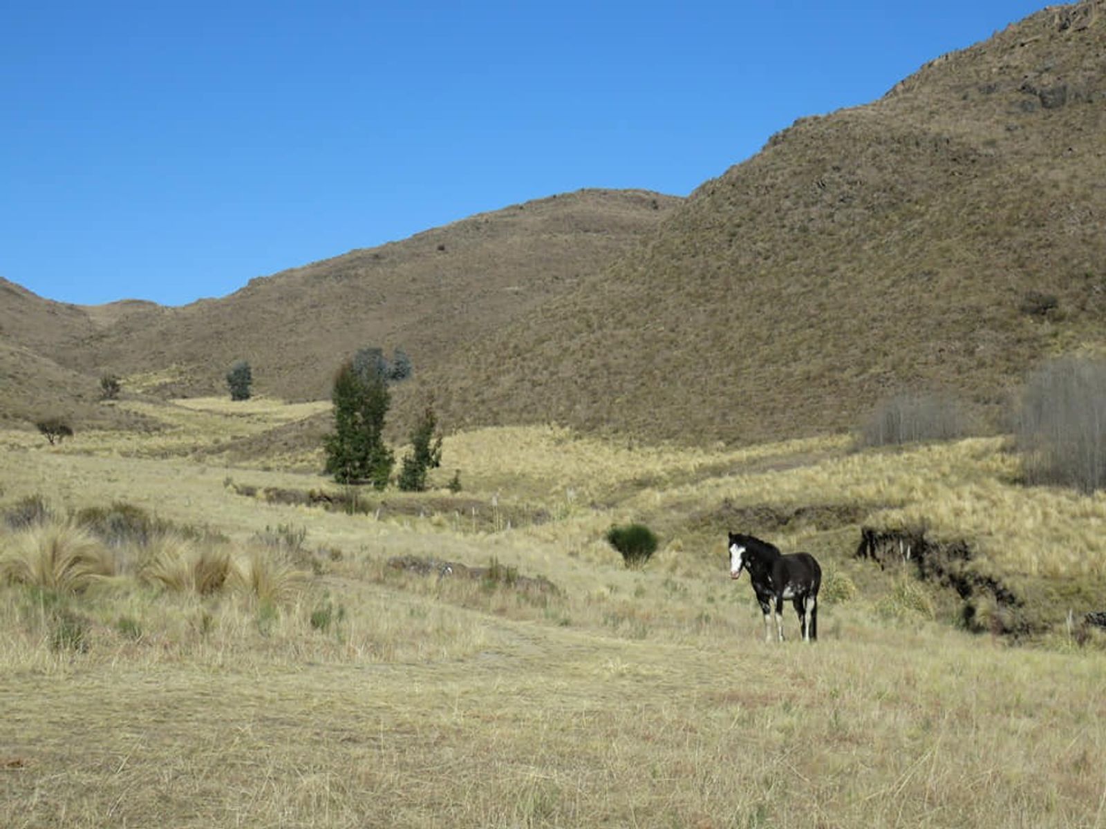 CAMPO EN ALTOS DEL DURAZNO - ESTANCIA GRANDE- SAN LUIS A LA VENTA