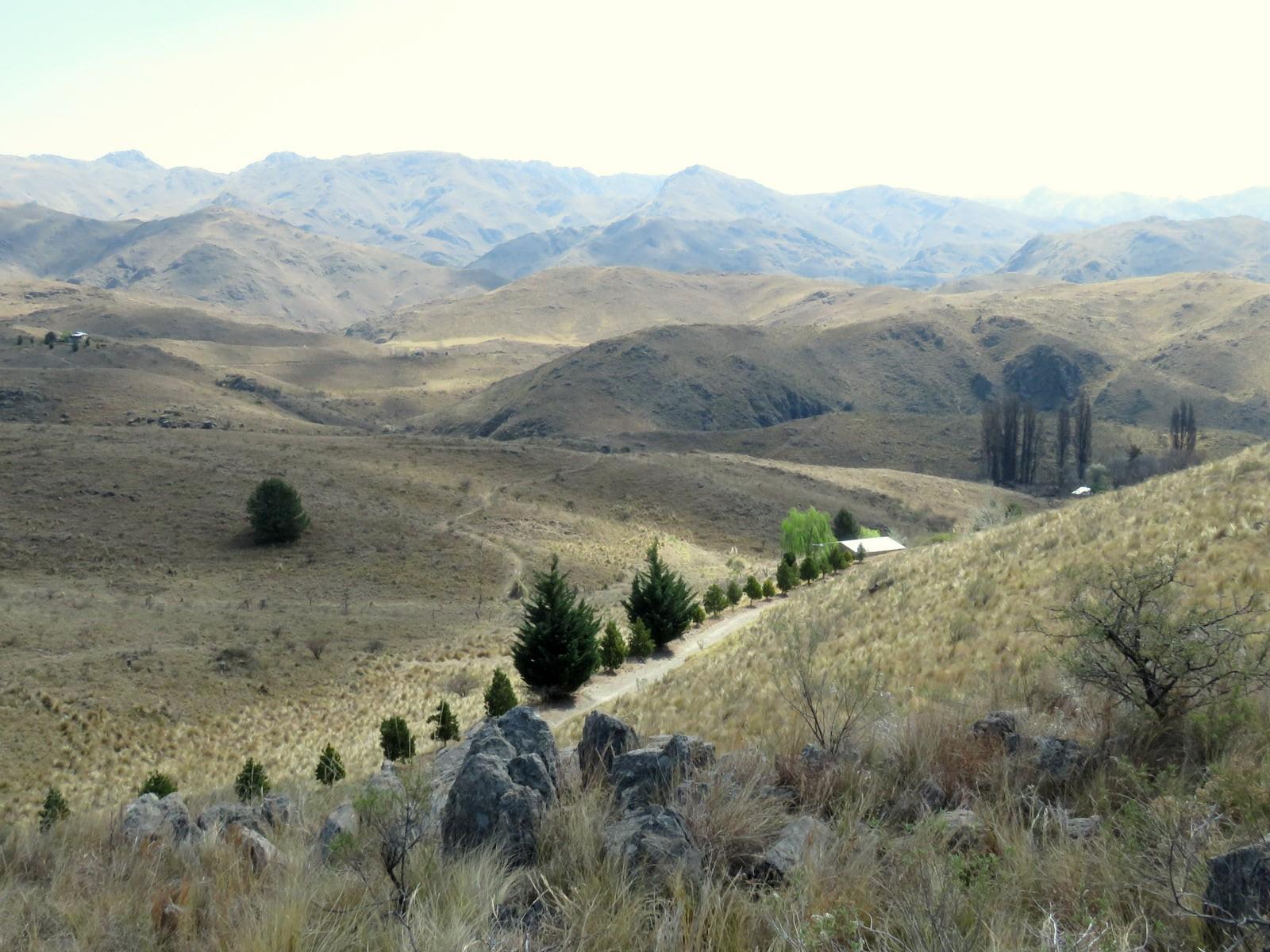 ESTANCIA ALTOS DEL DURAZNO - ESTANCIA GRANDE · Coronel Pringles — foto 11