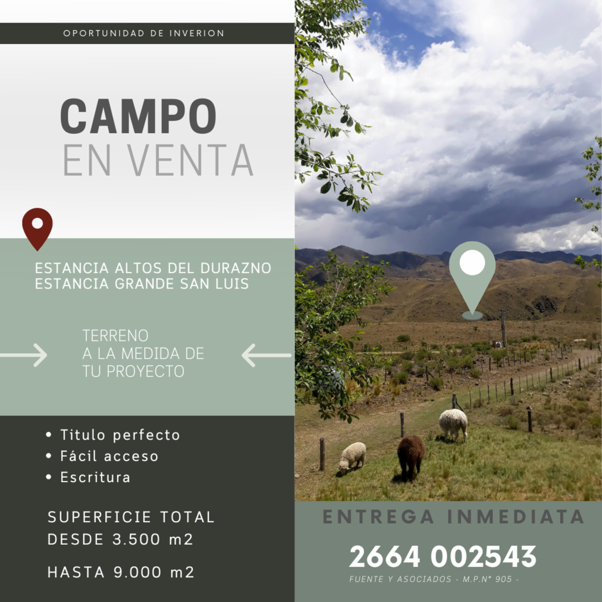 ESTANCIA ALTOS DEL DURAZNO - ESTANCIA GRANDE · Coronel Pringles — foto 14