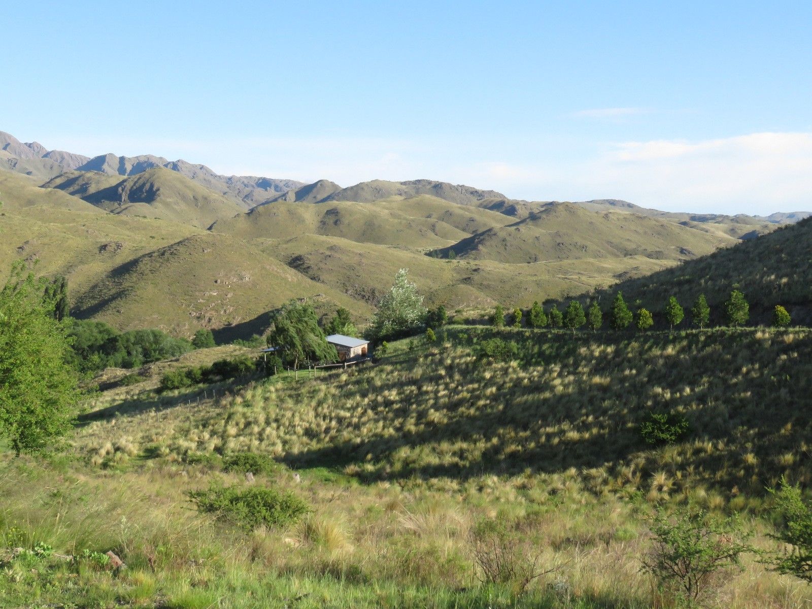ESTANCIA ALTOS DEL DURAZNO - ESTANCIA GRANDE · Coronel Pringles — foto 3