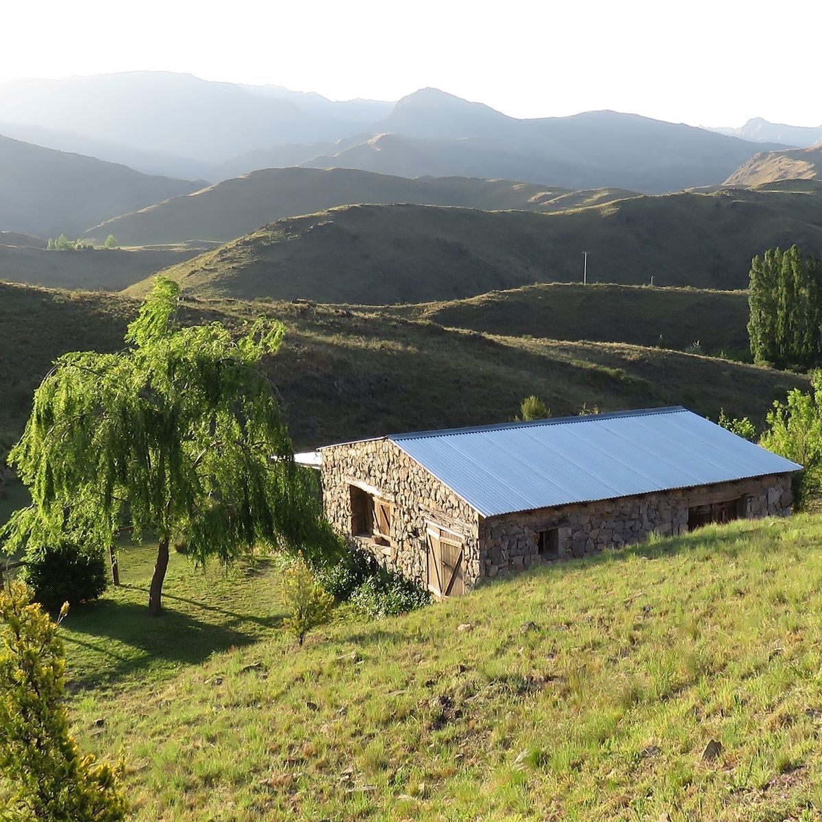 ESTANCIA ALTOS DEL DURAZNO - ESTANCIA GRANDE · Coronel Pringles — foto 5