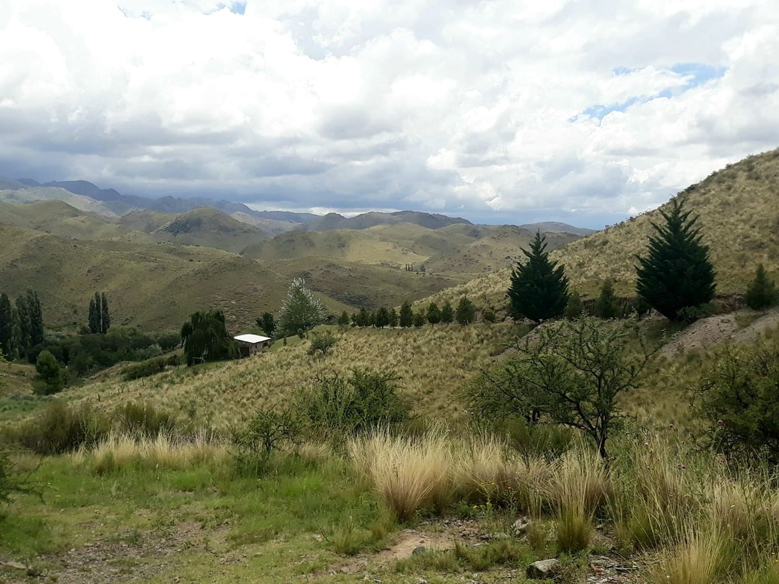ESTANCIA ALTOS DEL DURAZNO - ESTANCIA GRANDE · Coronel Pringles — foto 6