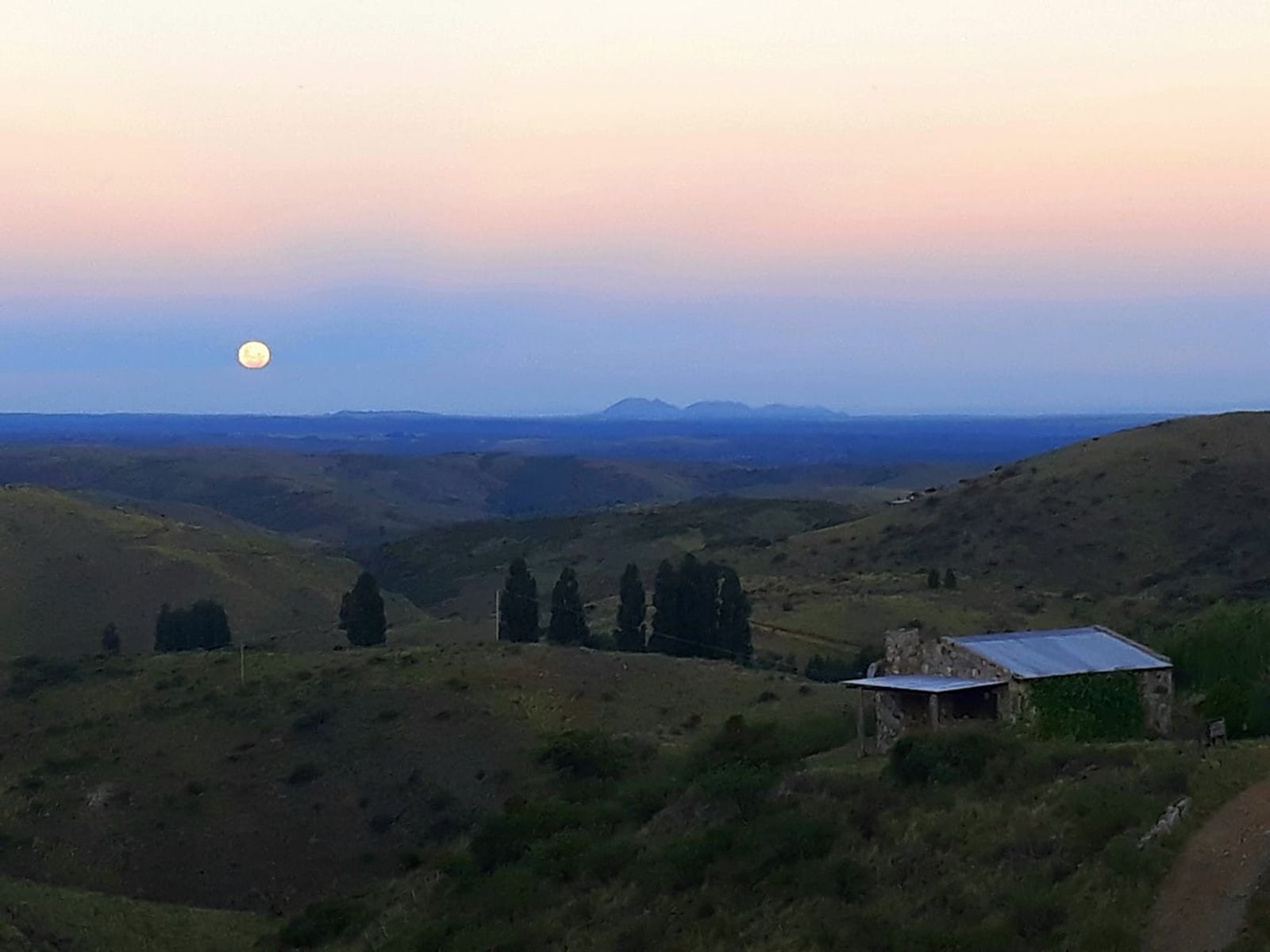 ESTANCIA ALTOS DEL DURAZNO - ESTANCIA GRANDE · Coronel Pringles — foto 8
