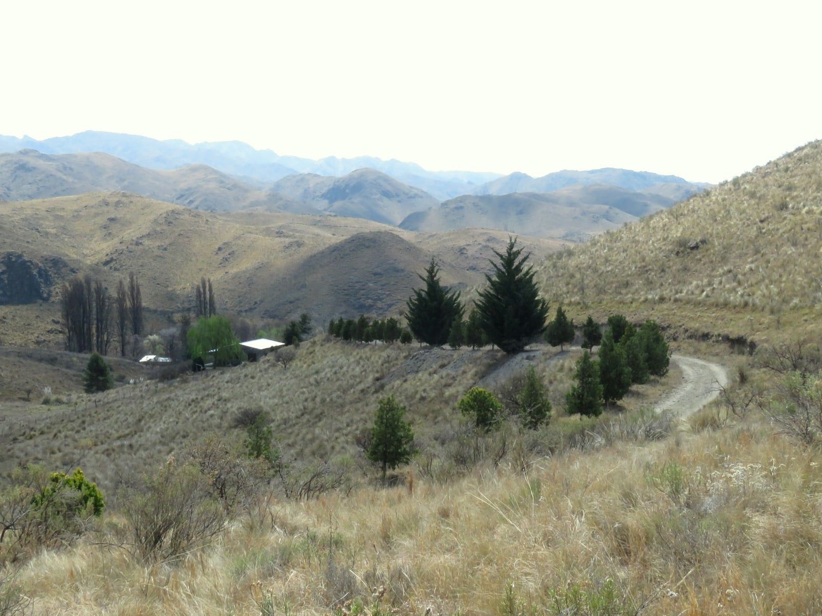ESTANCIA ALTOS DEL DURAZNO - ESTANCIA GRANDE · Coronel Pringles — foto 10