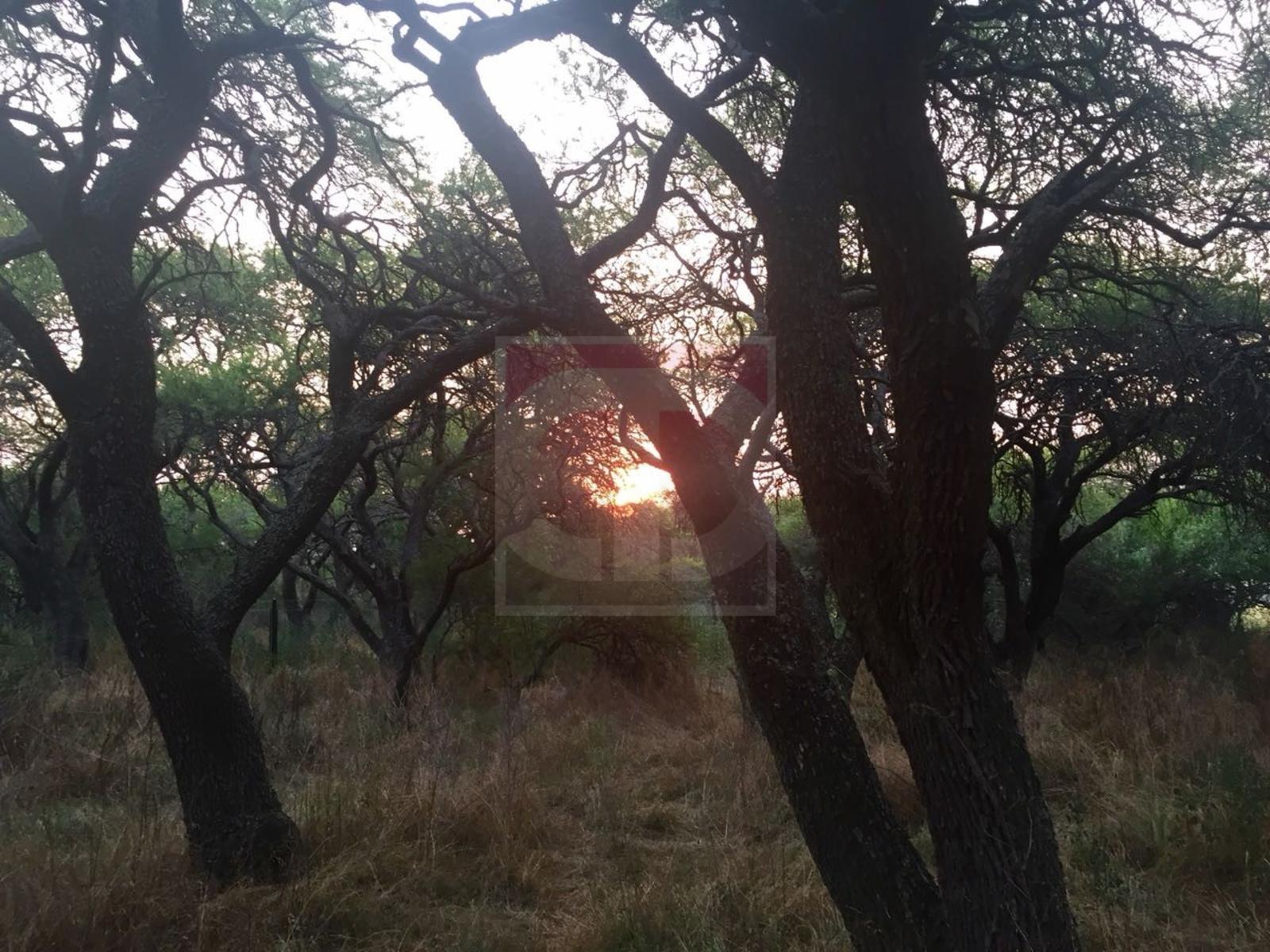 Venta lote de 2,5 hectáreas en Toay · Toay — foto 12