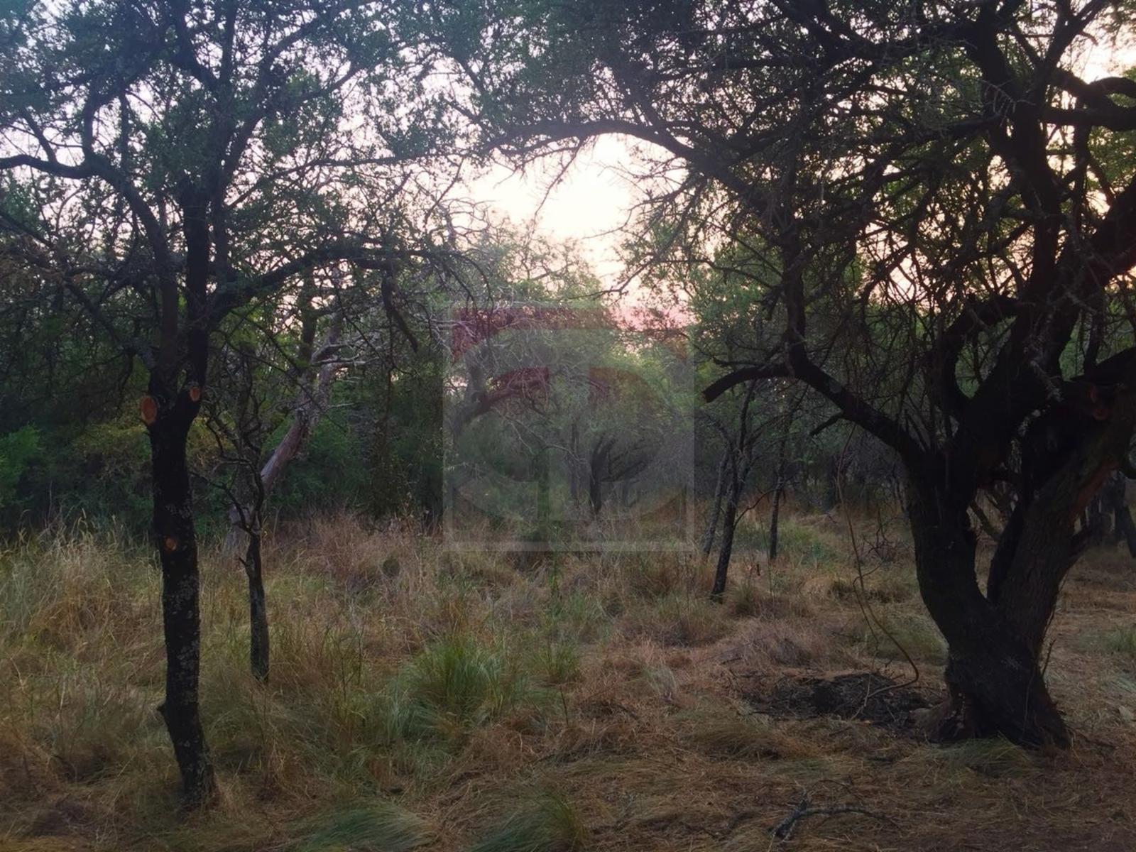 Venta lote de 2,5 hectáreas en Toay · Toay — foto 3