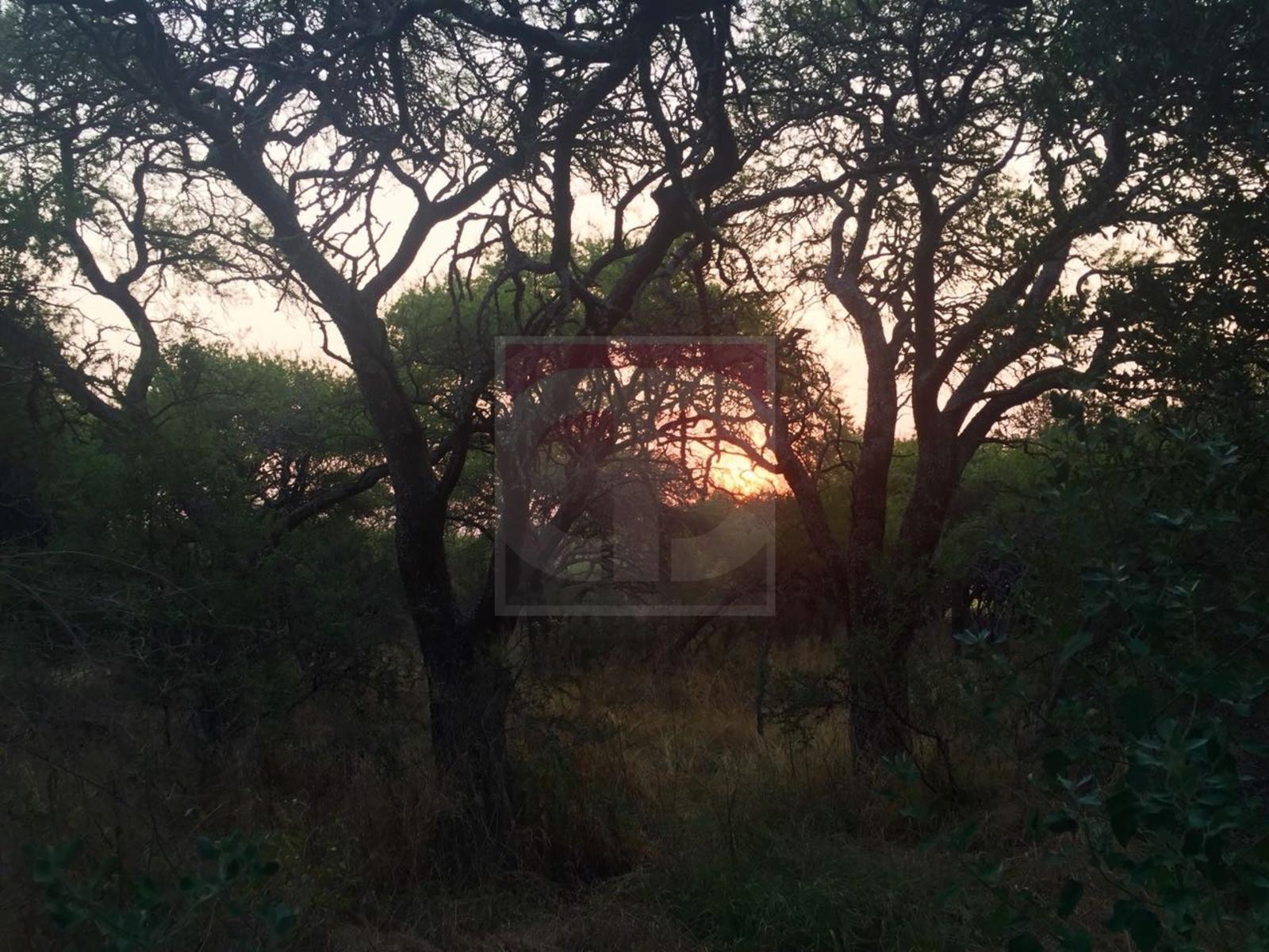 Venta lote de 2,5 hectáreas en Toay · Toay — foto 5