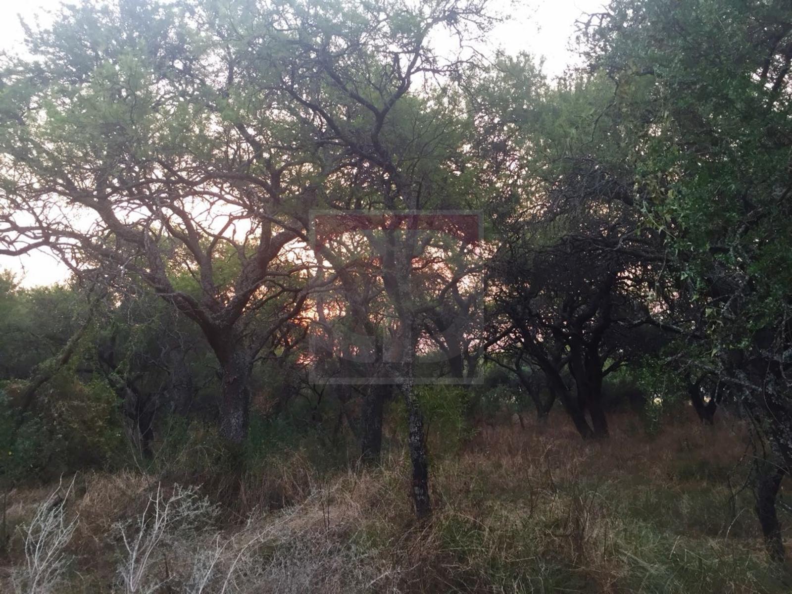 Venta lote de 2,5 hectáreas en Toay · Toay — foto 7