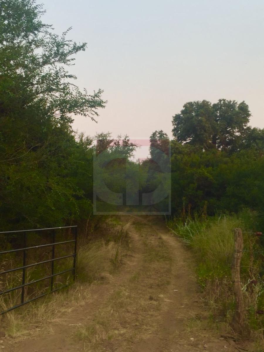 Venta lote de 2,5 hectáreas en Toay · Toay — foto 8