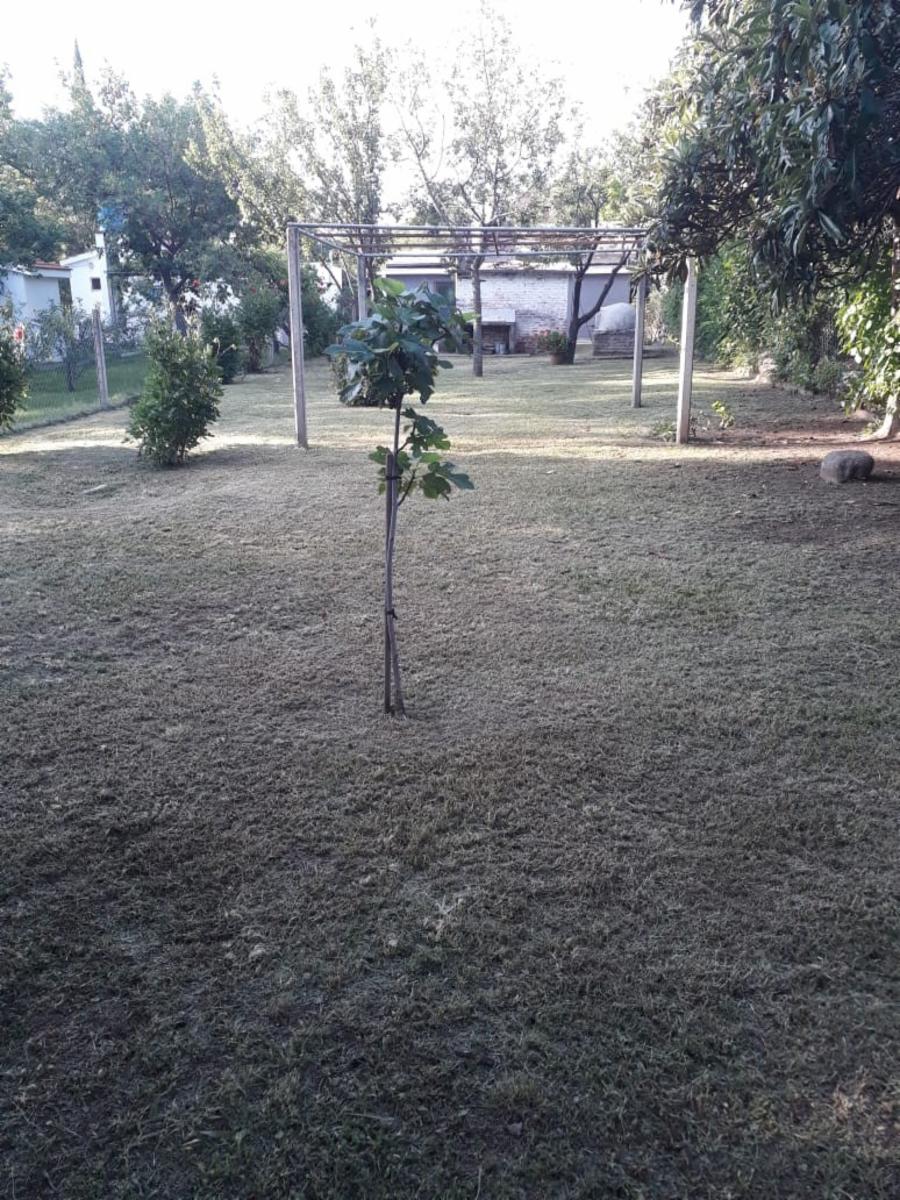 Av Fermin Romreo 200 · Junín — foto 20