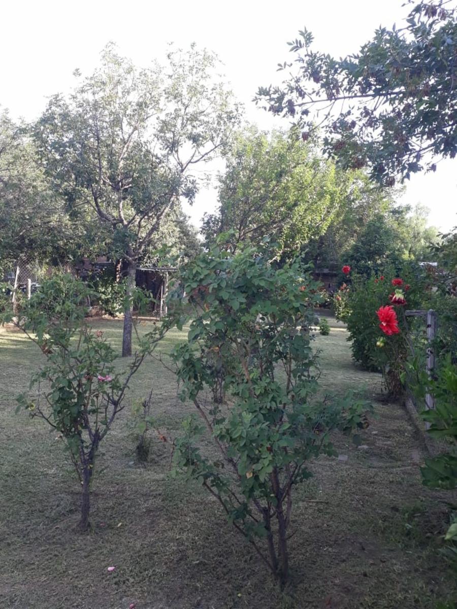 Av Fermin Romreo 200 · Junín — foto 21