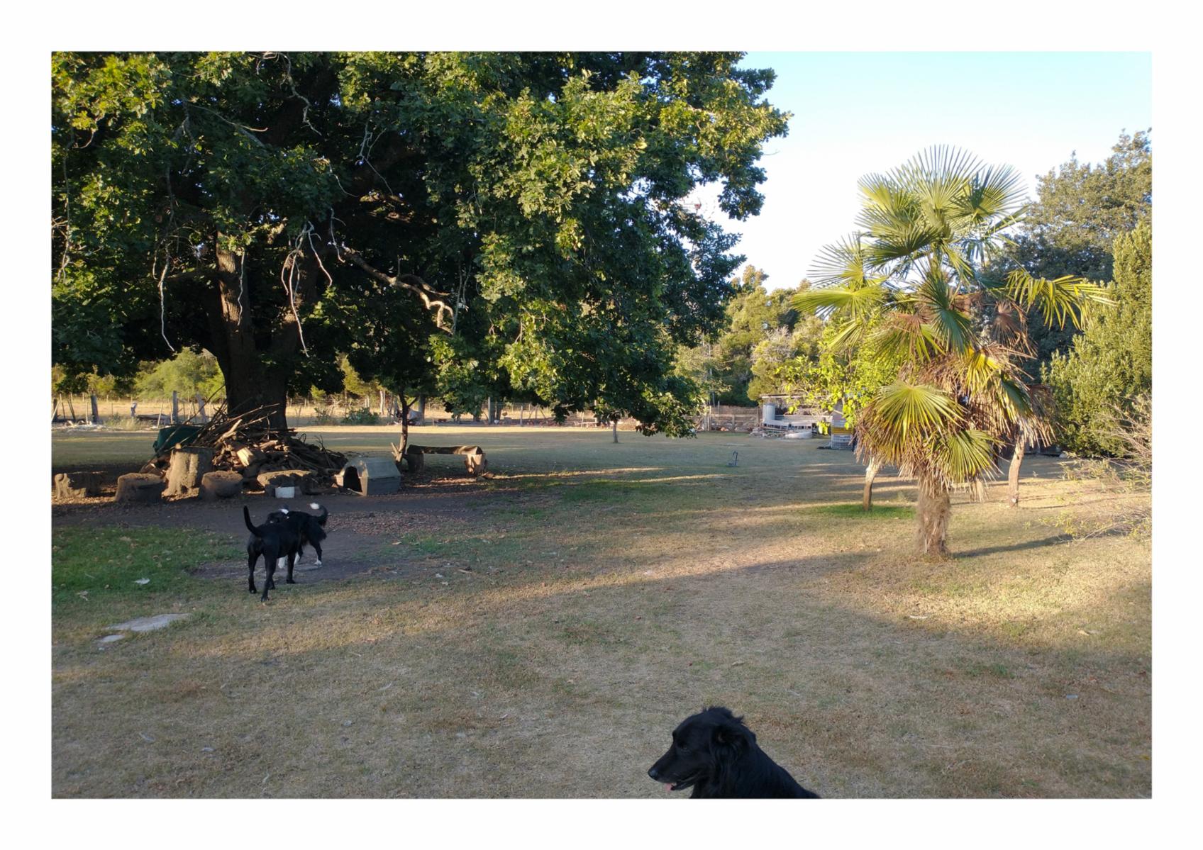 CAMPO en Venta en Punta Indio - 8 hectáreas