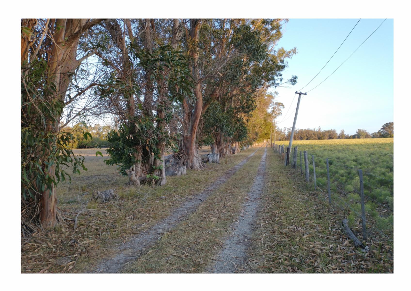 Calle Rural sin nombre · Punta Indio — foto 3