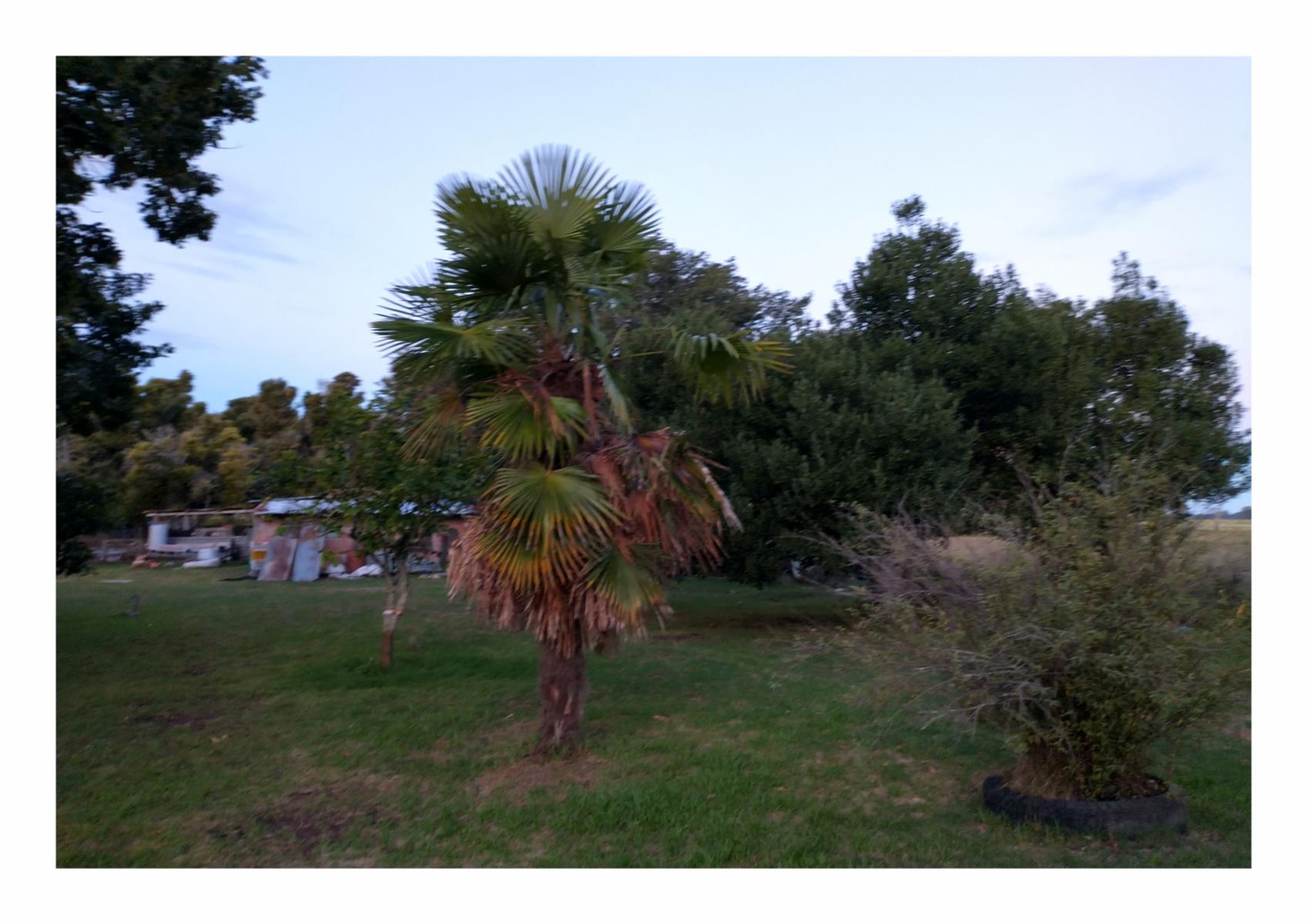 Calle Rural sin nombre · Punta Indio — foto 4