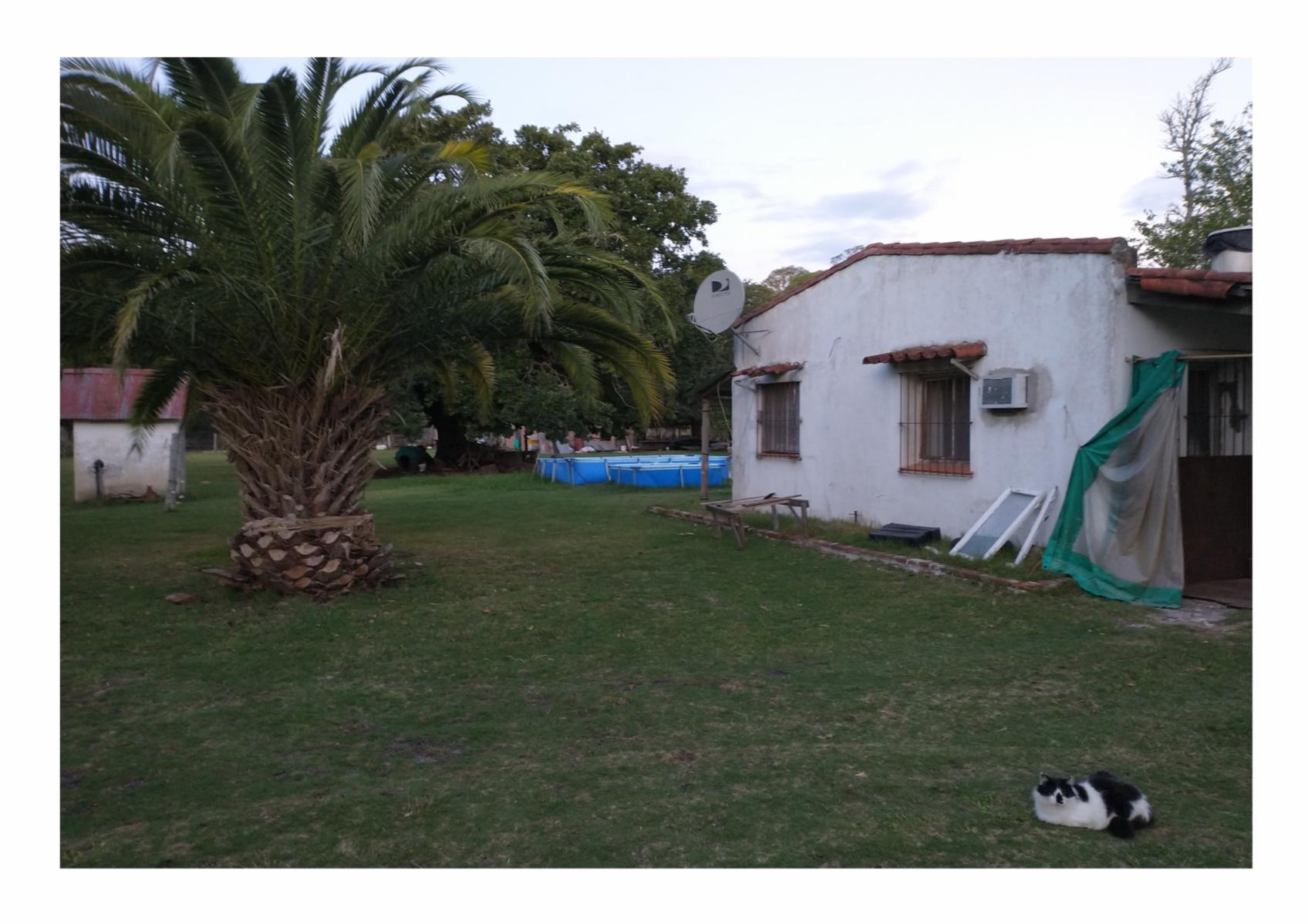 Calle Rural sin nombre · Punta Indio — foto 5