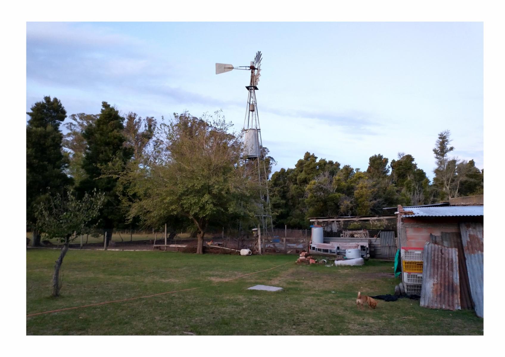 Calle Rural sin nombre · Punta Indio — foto 6