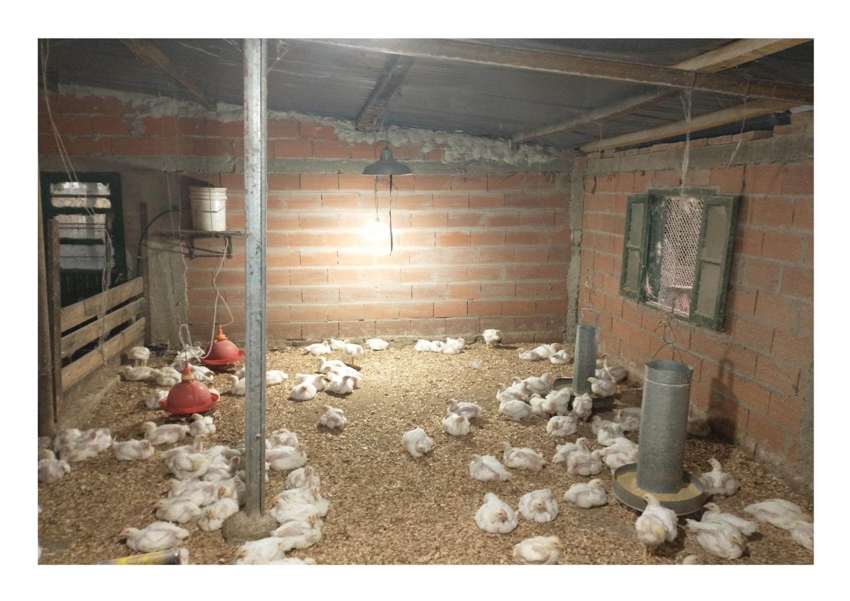 Calle Rural sin nombre · Punta Indio — foto 10
