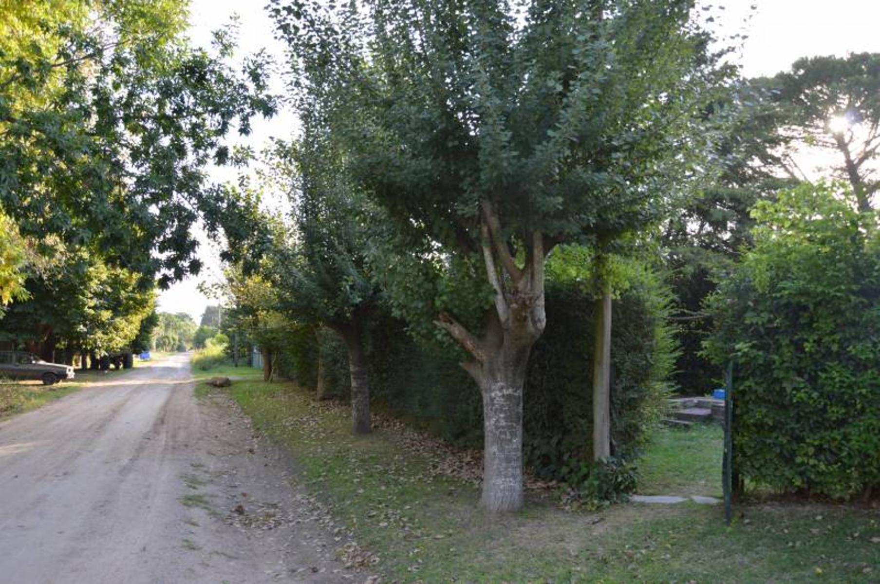Calle 129 y 62 200 · General Belgrano — foto 3