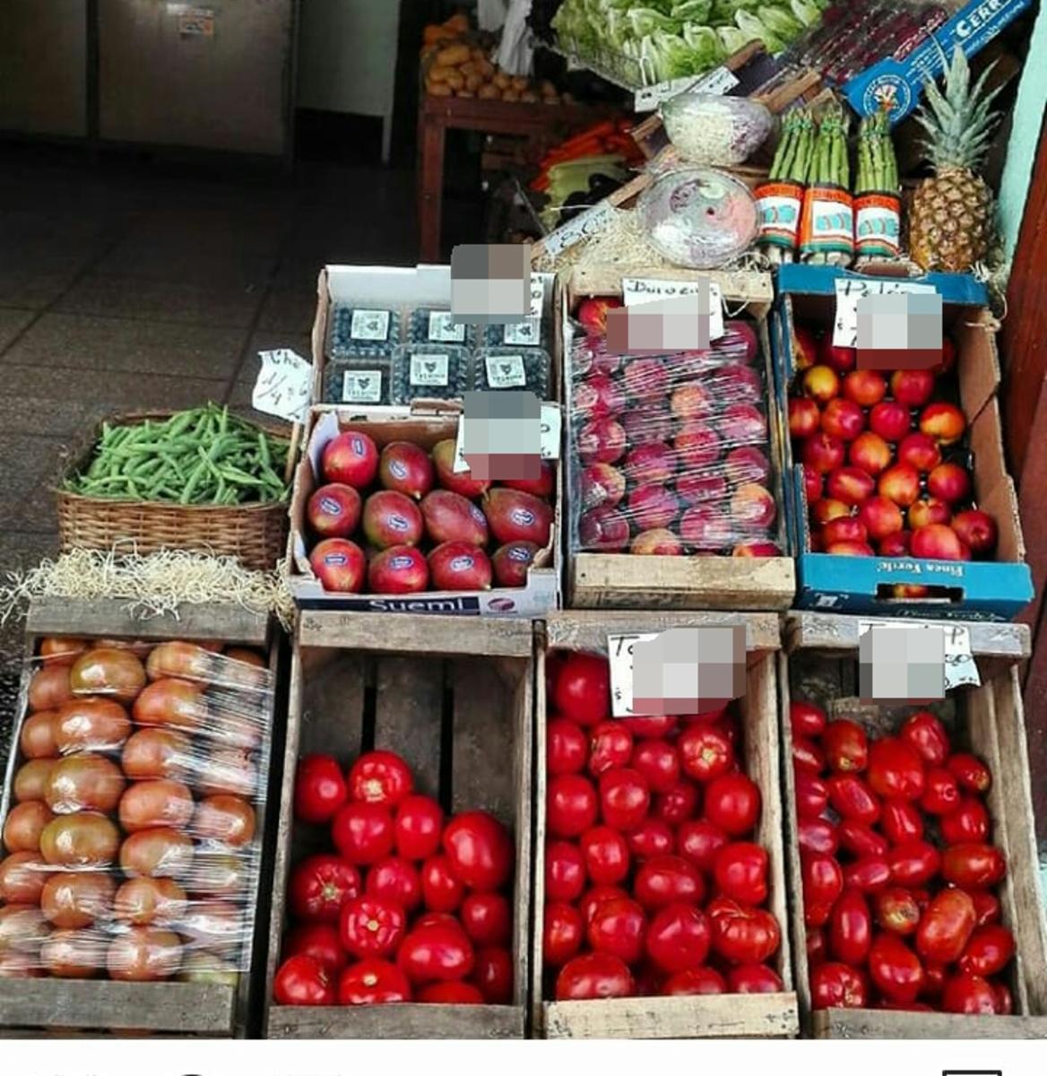 Noguera · Merlo — foto 4