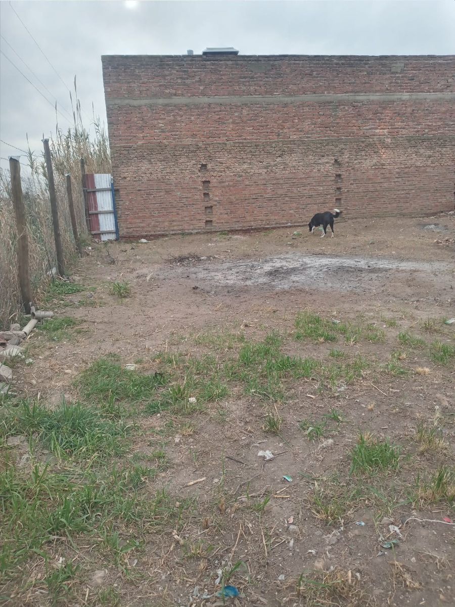 1810 2379 · Bahia Blanca — foto 4